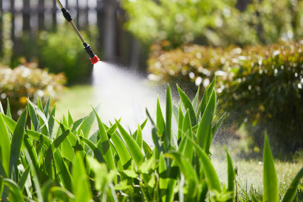 Tamper-Resistant Bait Stations for Rodents in Cohoe