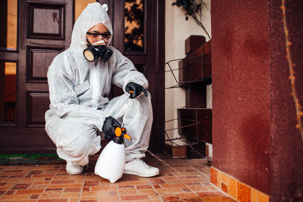 Attic and Crawl Space Rodent Treatment in Cohoe