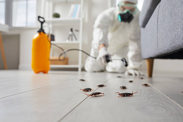 Commercial Rodent Management in Cohoe